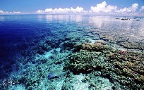 Polinesia
